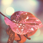 软件授权中心的手机号轰炸在线